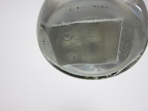 1 Day - Stainless Clip