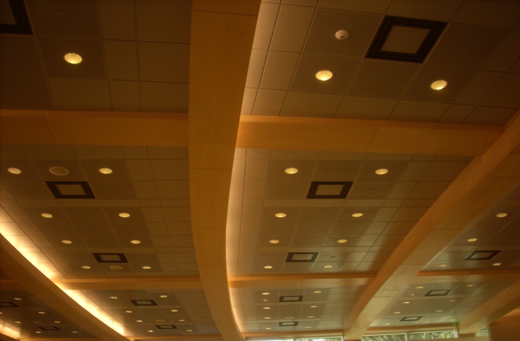 Ceiling Grid